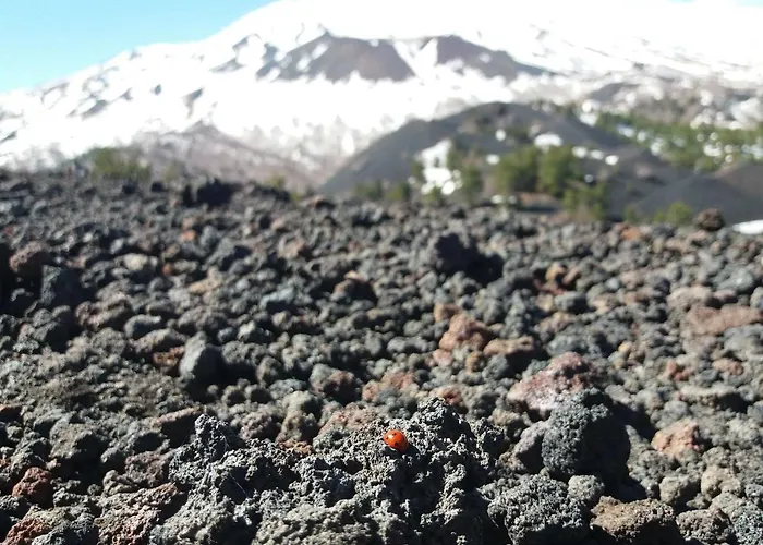 Bed & Breakfast Fragranza Di Sicilia Giardini Naxos