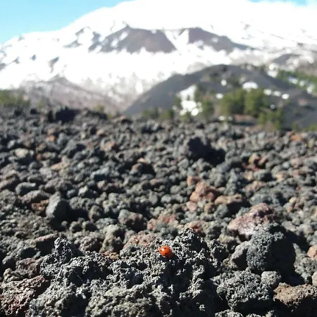 Готель типу 